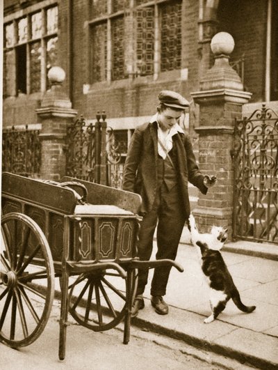 A cats-meat man holding meat out for a cat by English Photographer